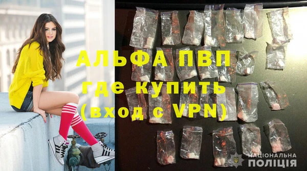 spice Аркадак