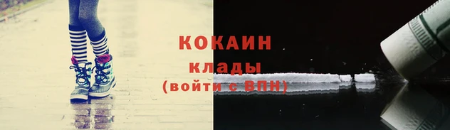 spice Аркадак