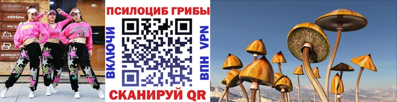 Купить  Ворсма  Псилоцибиновые грибы мицелий 